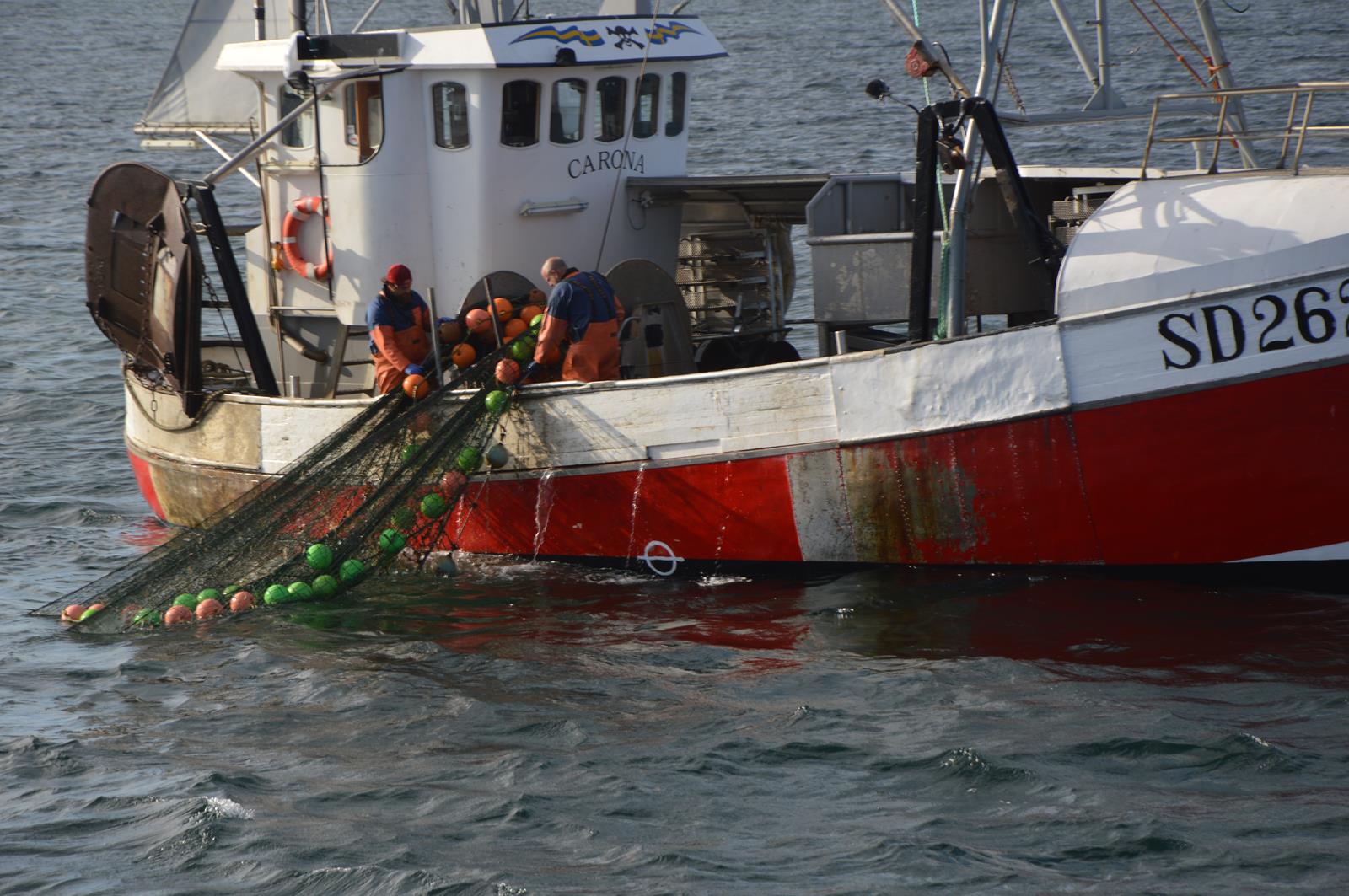 Trawling in the Koster Sea - Sustainable fishing